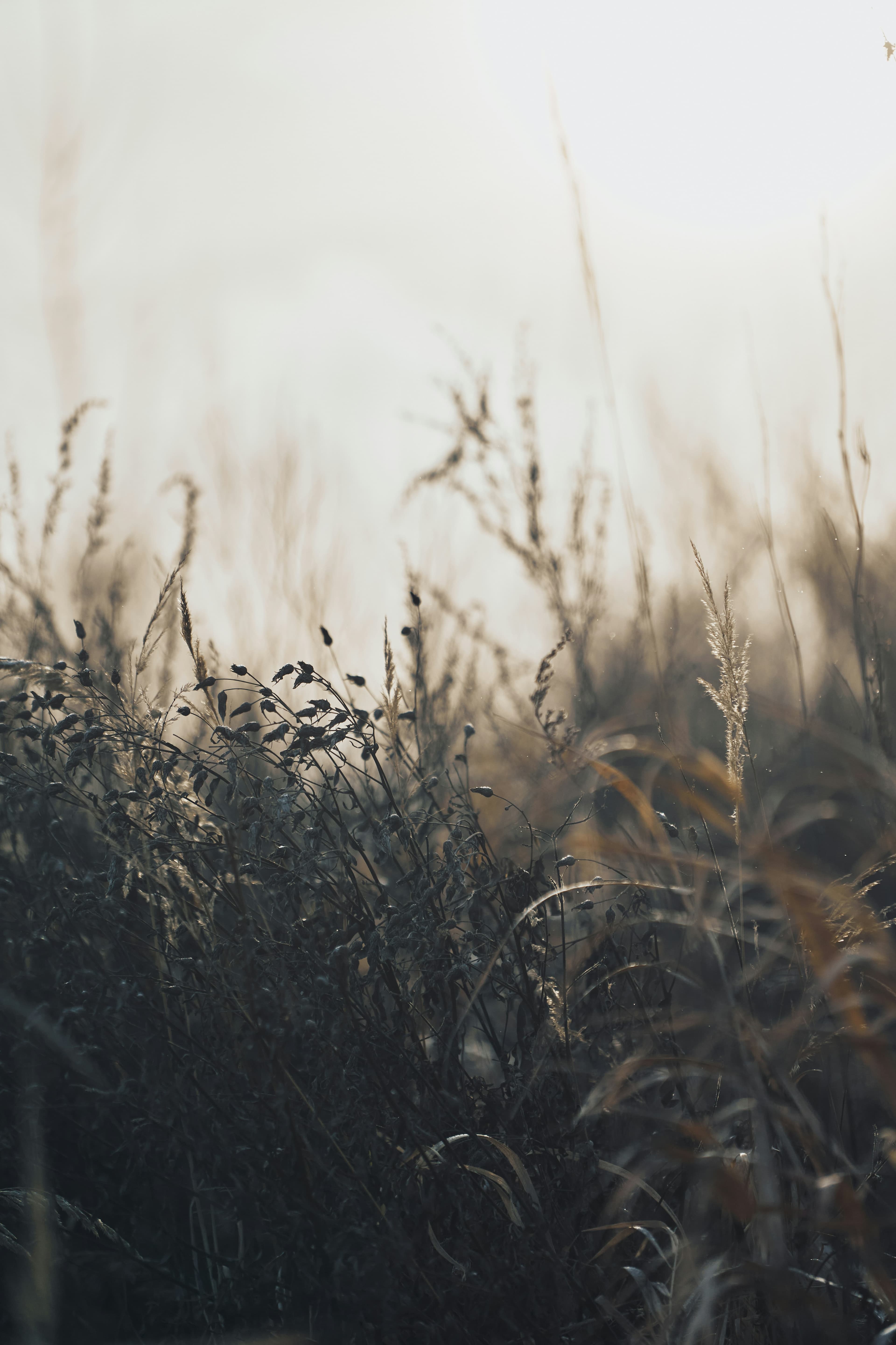 Finding balance and peace